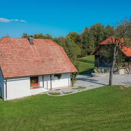 Homestead Drcar - Happy * Mokronog